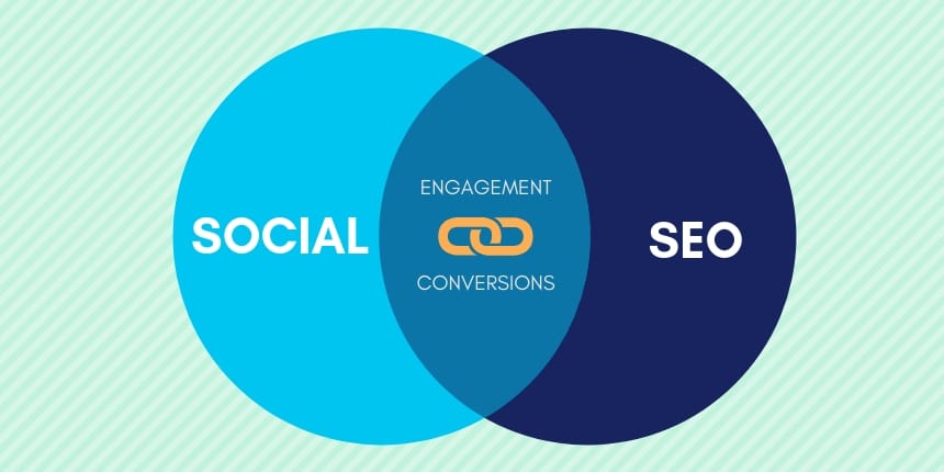 seo social media salesconnect référencement naturel 